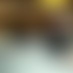 TransLolaxx, Trans, 32 ans, Mons (2)
